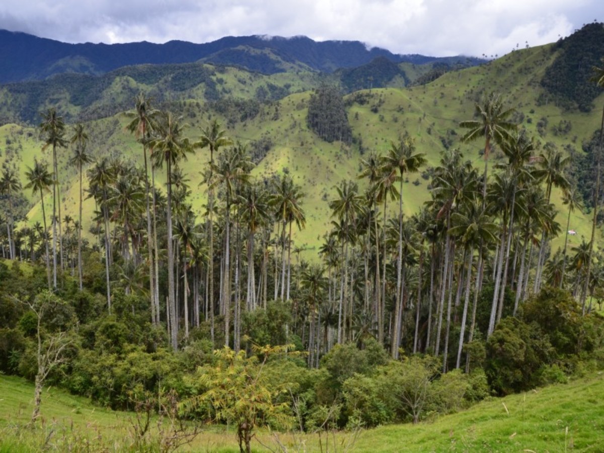 Sublime Colombie sur la route du café & ile de Barú