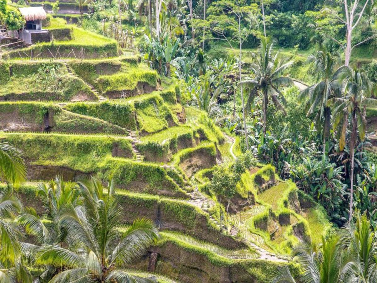 Evasion Privilège - Extension Sanur 15 jours / 12 nuits - 4