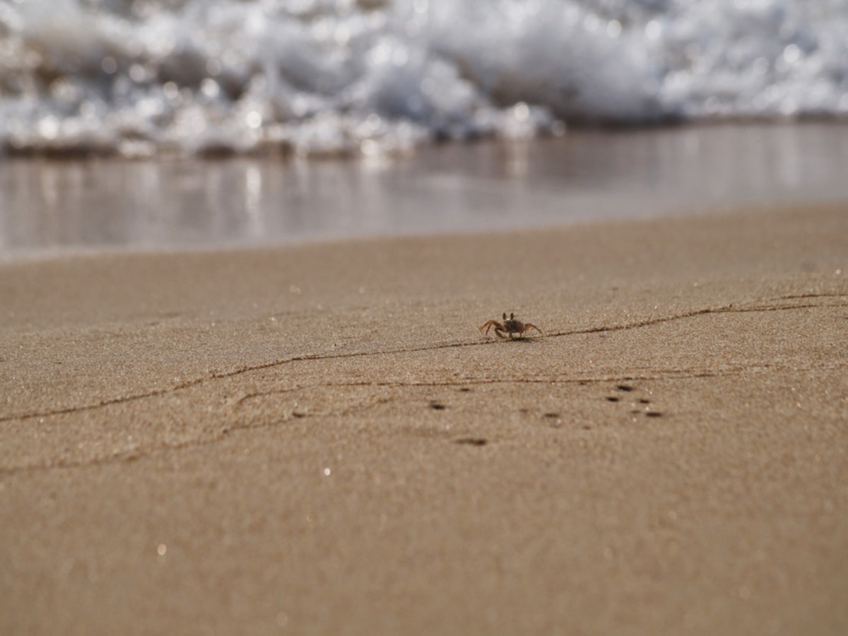 Día 9 — Balnéaire Phu Quoc