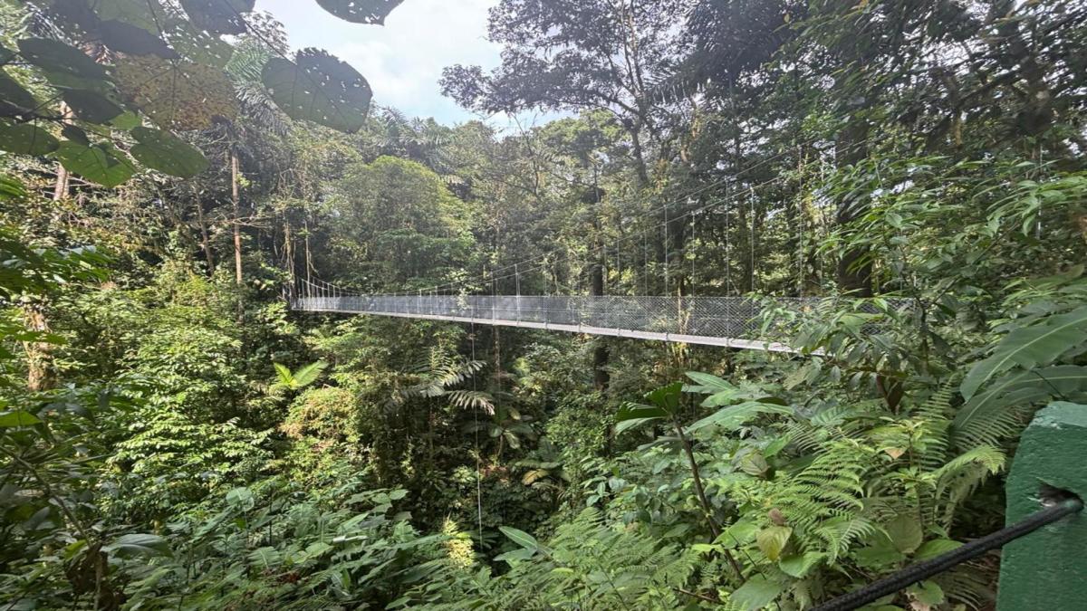 Autotour sur les Chemins du Costa Rica