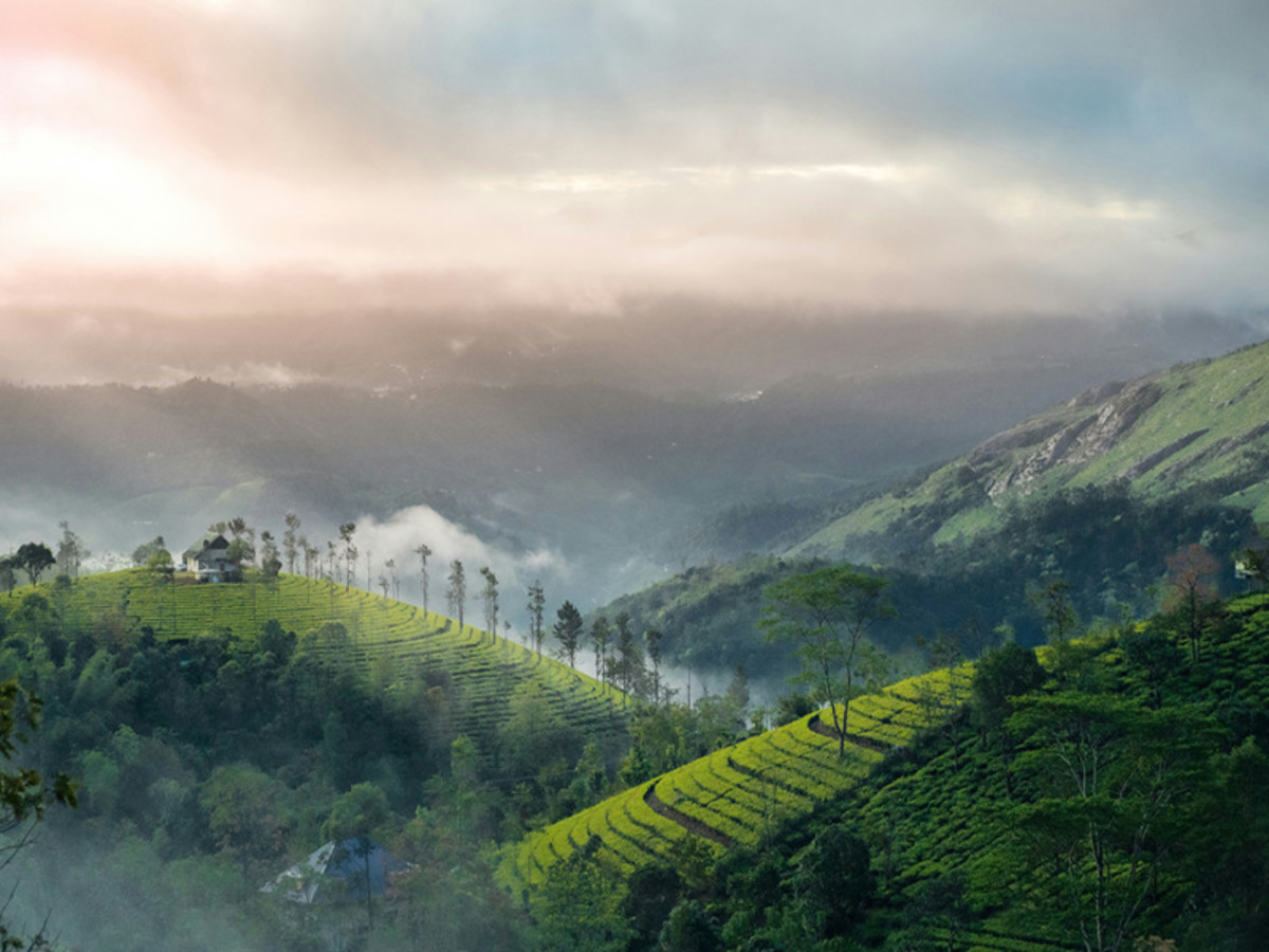 ÔCircuit Essentiel – Inde du Sud et plages de Goa 12N, Circuit Inde par Ôvoyages