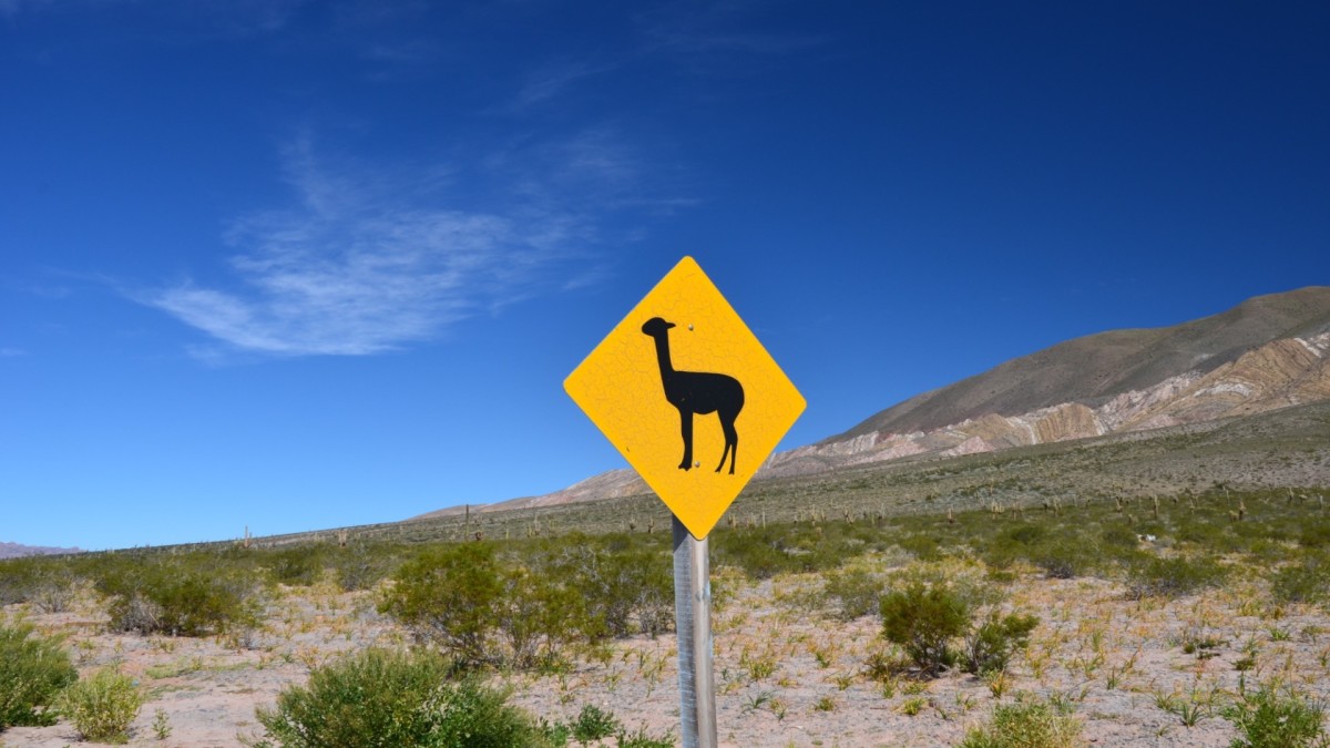 Autotour Argentine - Des Andes colorées à la route 40 mythique