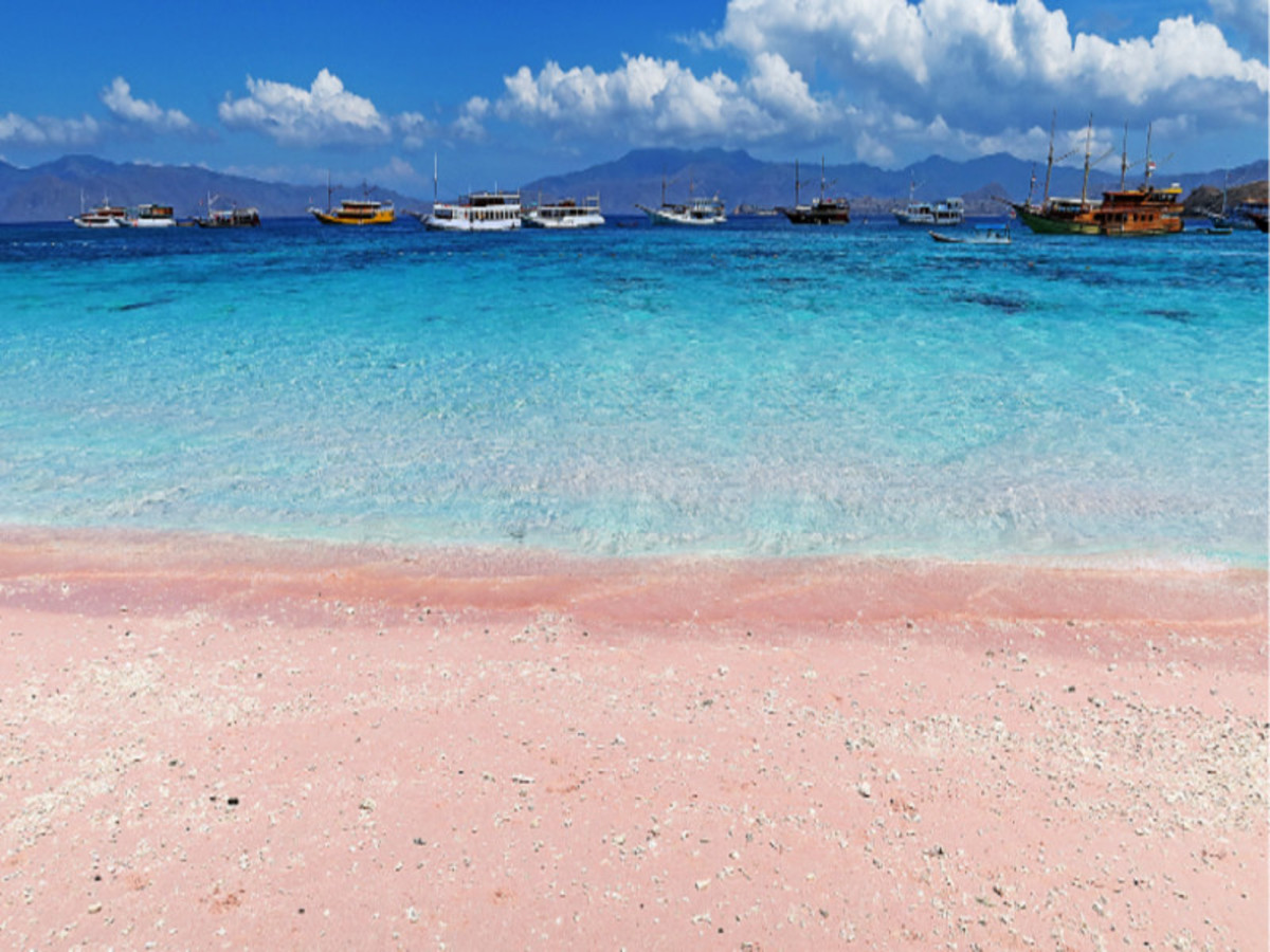 Evasion Privilège - 16 jours / 13 nuits - Extension Komodo - 11