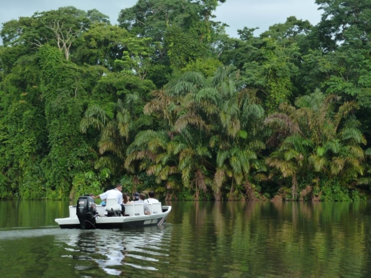 Circuit Evasion au Cœur de la Nature au Costa Rica, Circuit Costa Rica par Ôvoyages Circuit Evasion au Cœur de la Nature au Costa Rica, Circuit Costa Rica par Ôvoyages