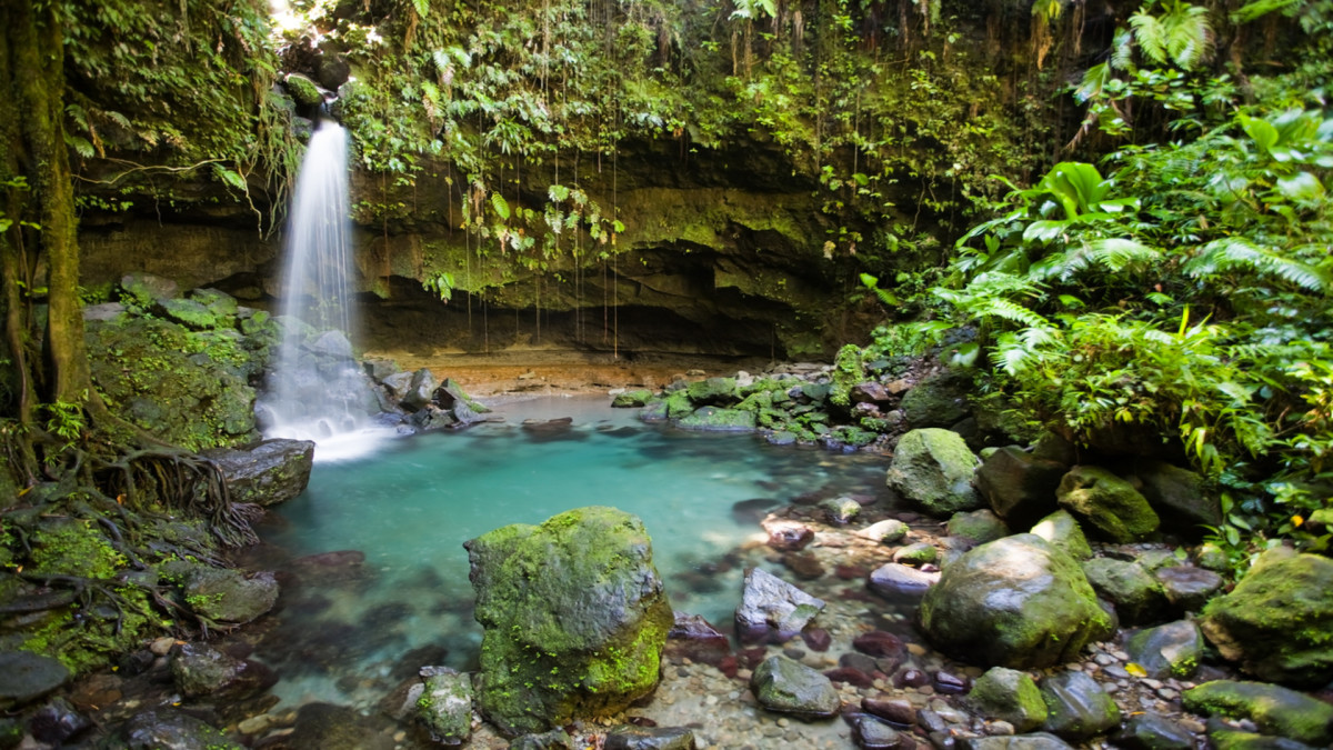 Immersion au coeur de la Martinique authentique - &