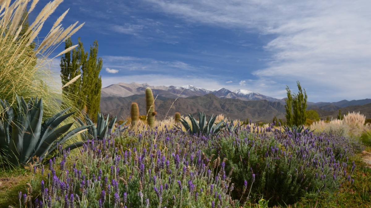 Autotour Jet Tours en Liberté Argentine - Andes Signature & Estancias d'exception