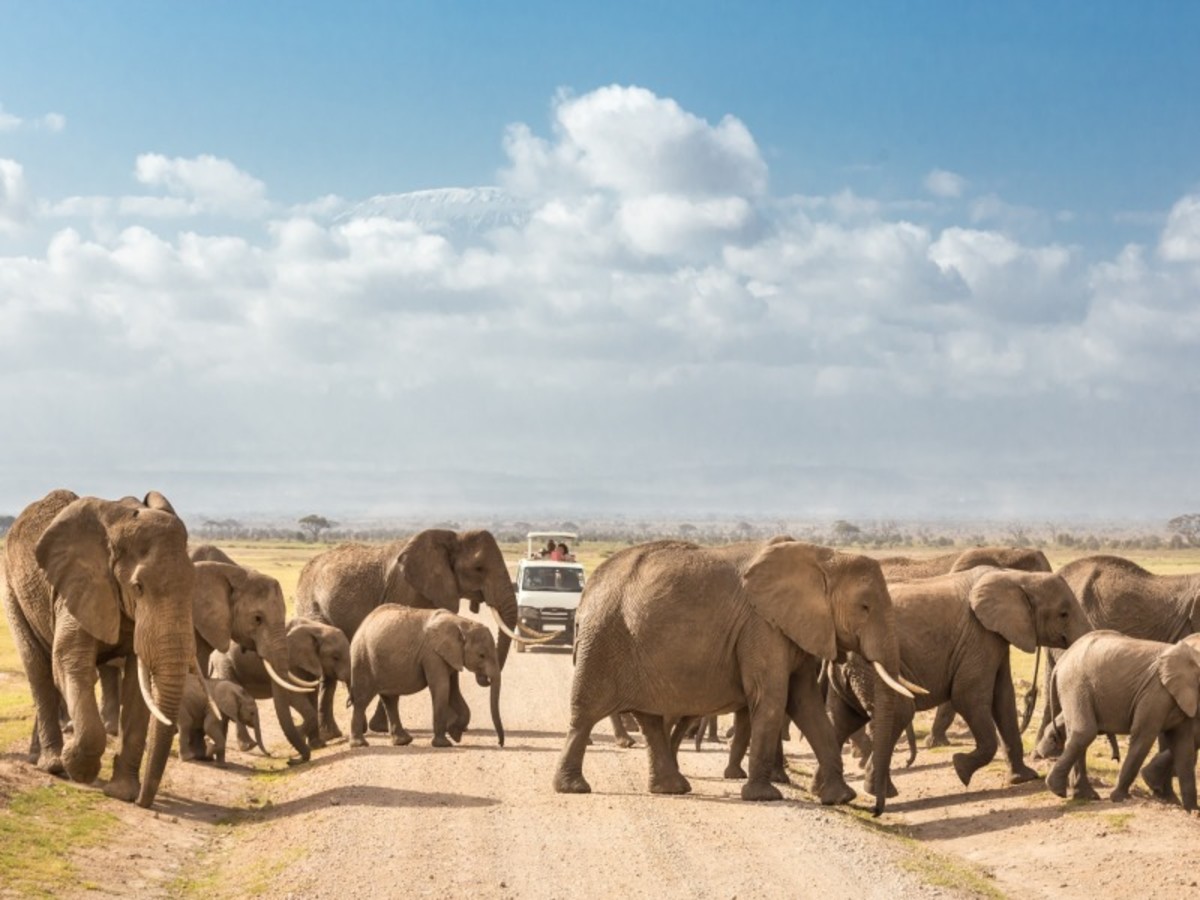 Hôtel Kenya à Nairobi, regard sur le kenya le grand safari 10j 8n