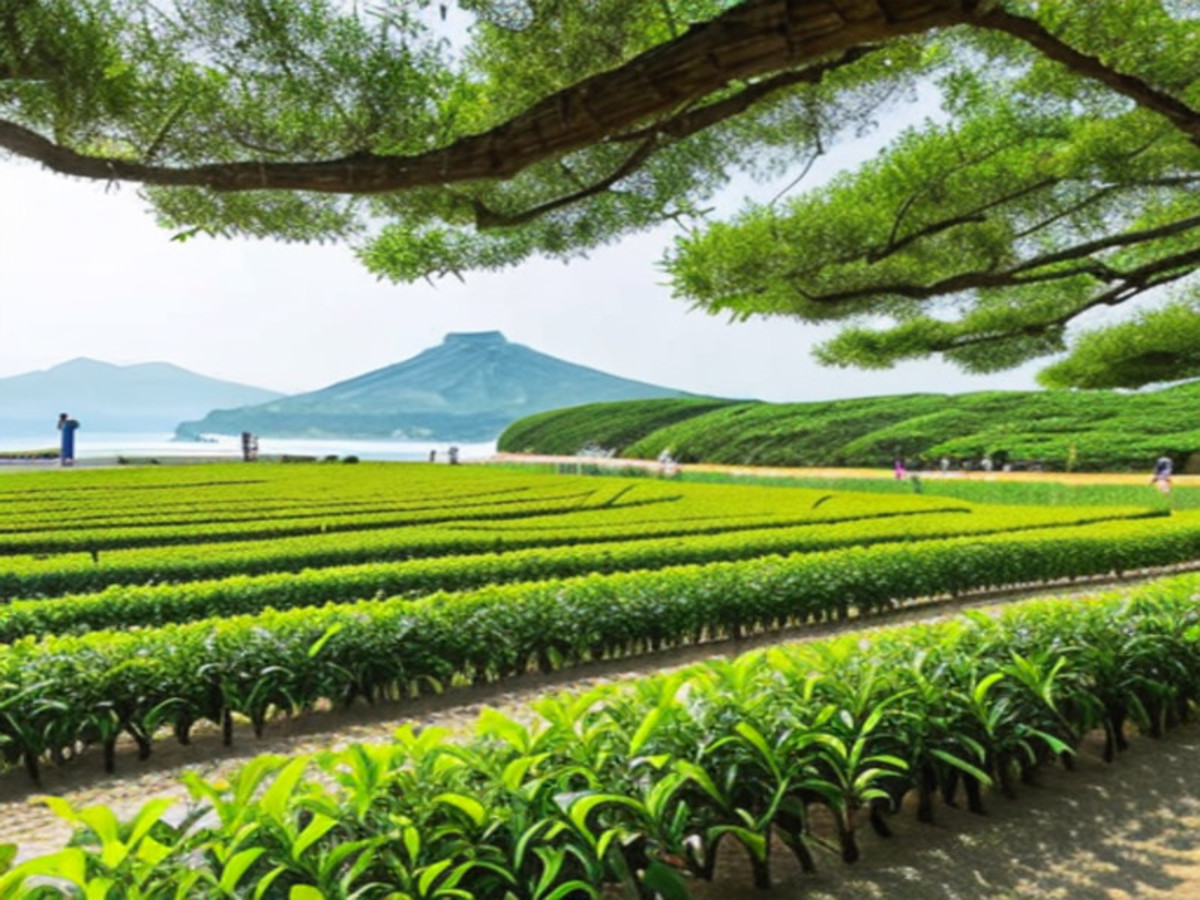 Día 10 — Jeju