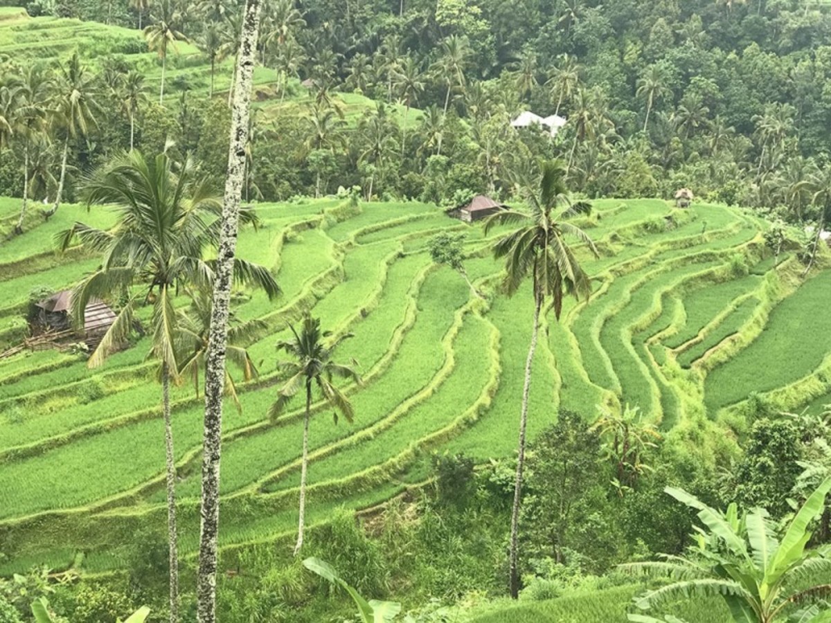 Trésors de Bali et Merveilles de Komodo 3/4* USD - 2