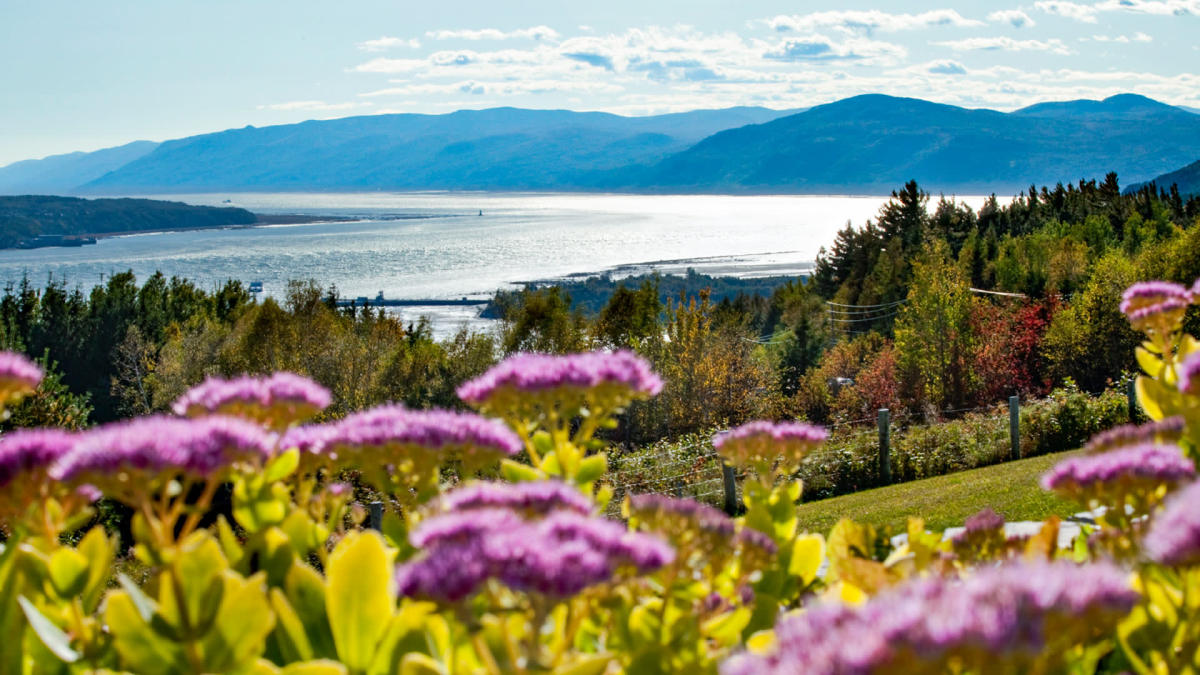 Circuit Les Charmes du Saint Laurent