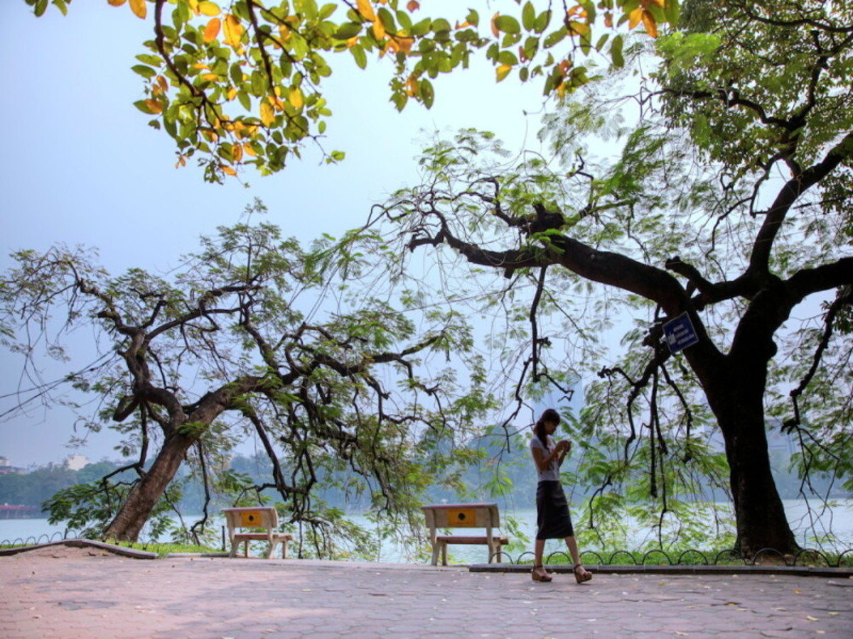 O1. Vietnam à la folie/ vol domestique inclus - 1