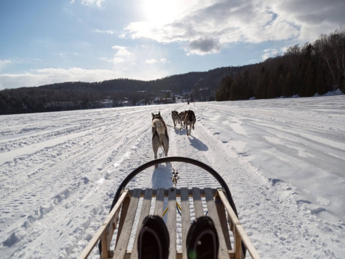 Merveilles d'Hiver au Quebec - 5