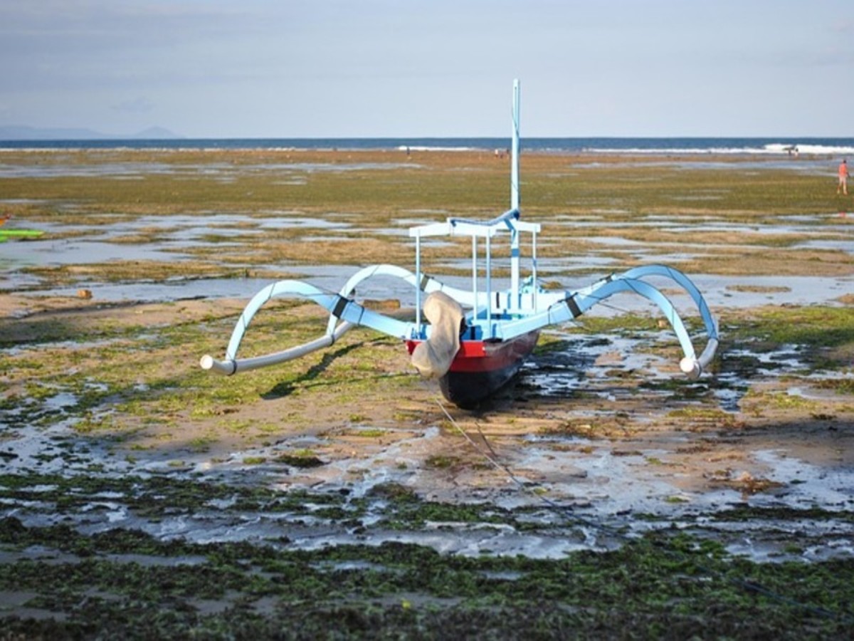 Image 8 du séjour Bali Authentique ¿ 14 jours / 11 nuits à Denpasar, Bali