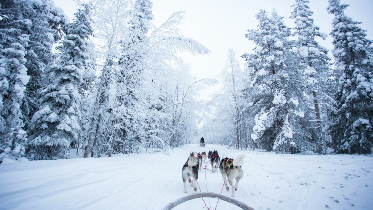 Séjour d'Hiver au Pays du Père Noël
