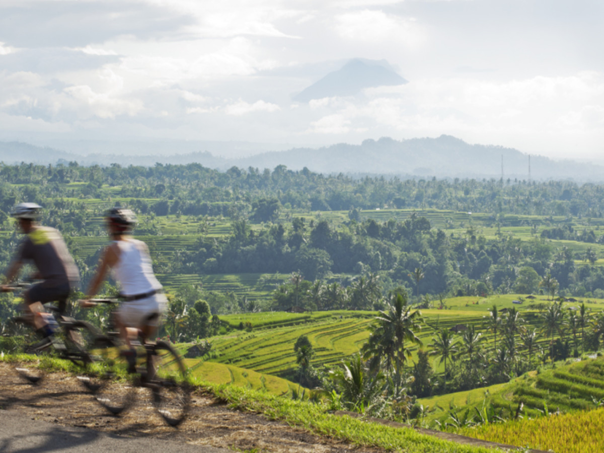 Día 2 — Ubud (B)
