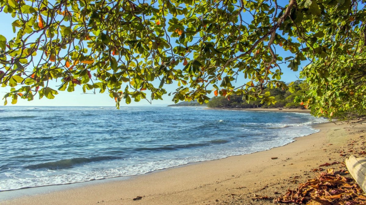 Circuit Costa Rica Rendez-vous en Terre Tica, limité à 14 personnes