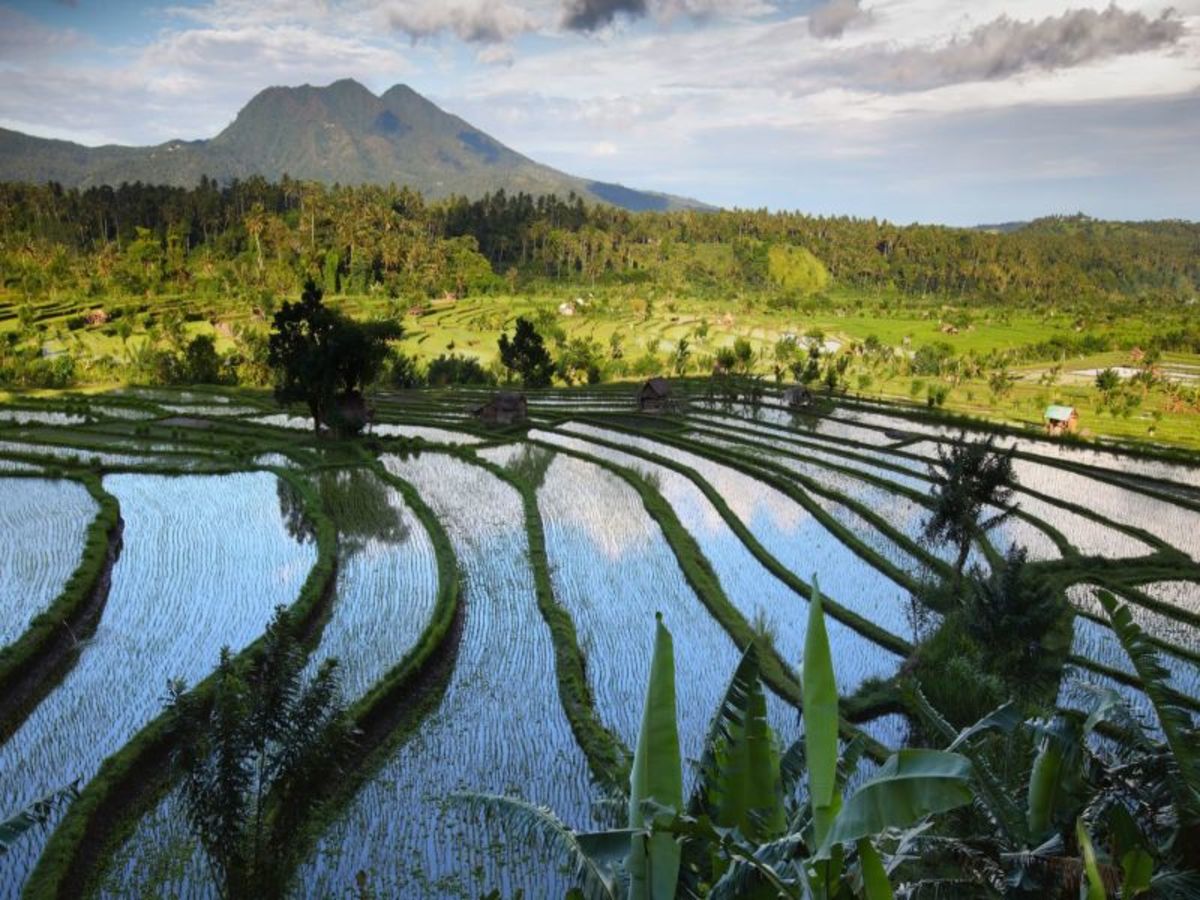 Circuit Trésors de Bali & Dragons de Komodo 3*