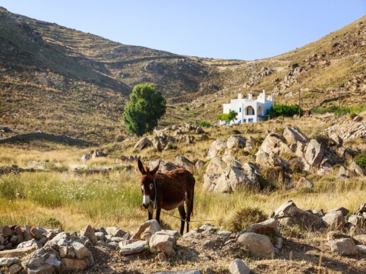 Día 6 — Paros