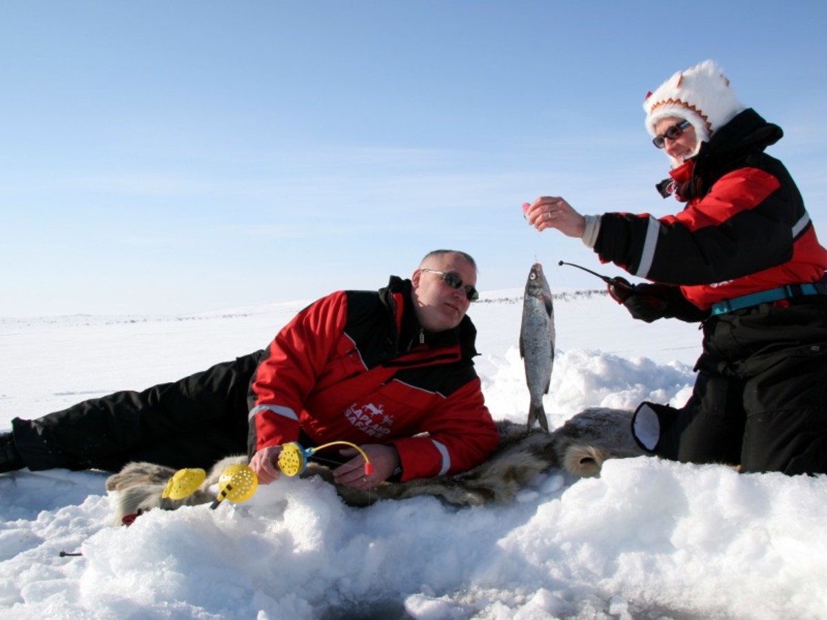 Día 5 — Rovaniemi Regreso