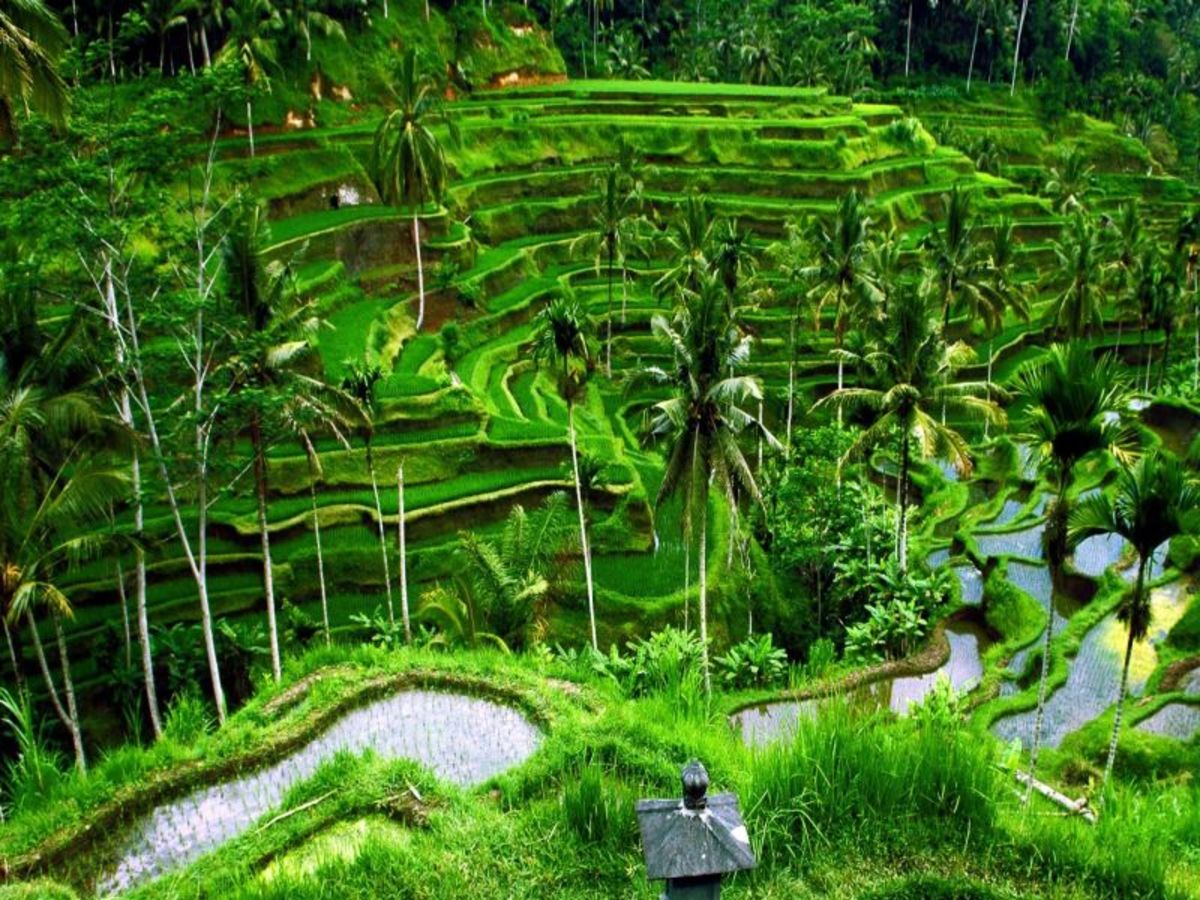 Circuit Escapade Bali - Komodo 3* - 11 jours / 10 nuits, Circuit Indonésie, Bali par Ôvoyages