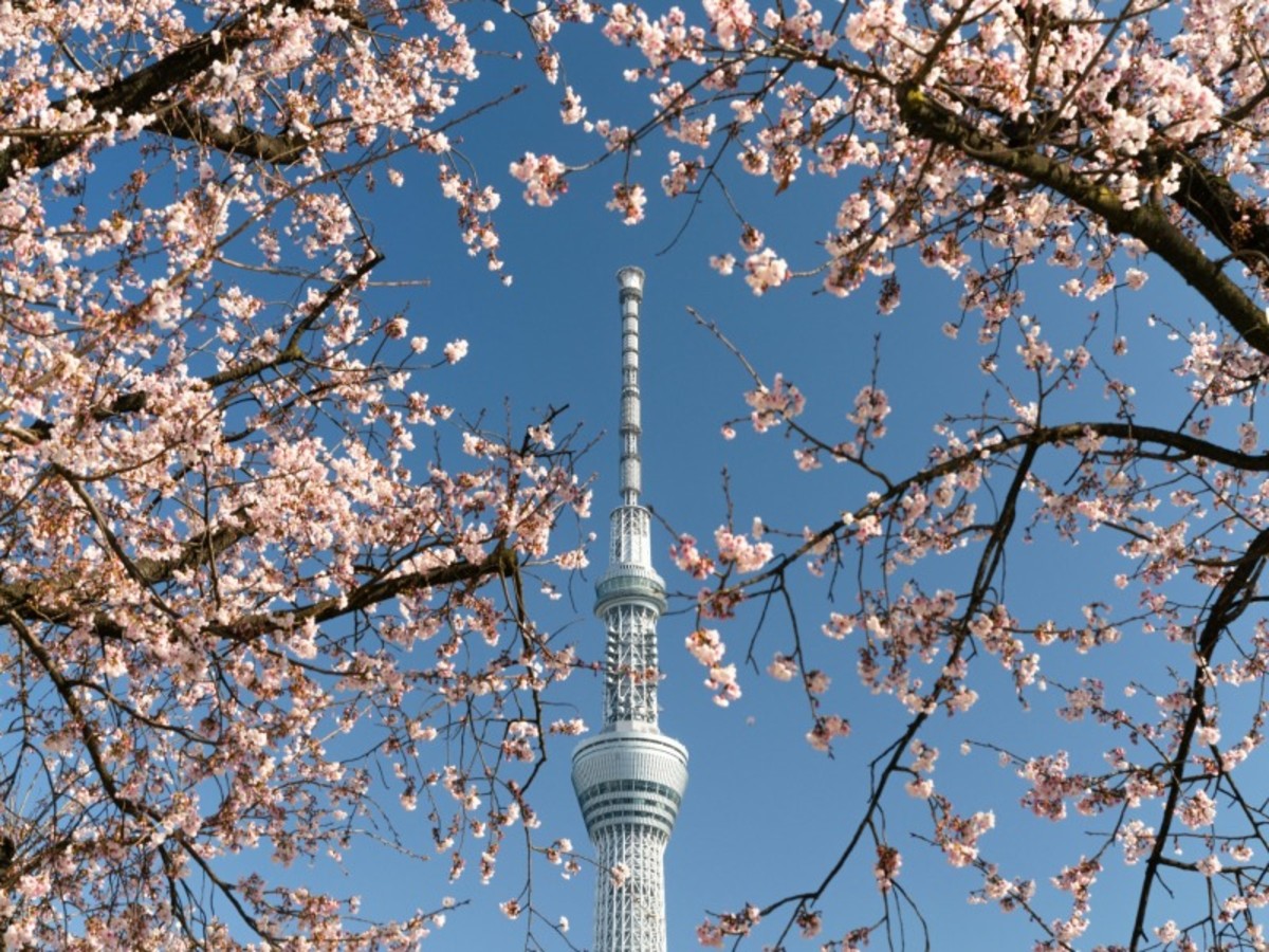 Hôtel Japon à Tokyo, japon sous un autre angle 21j 18n