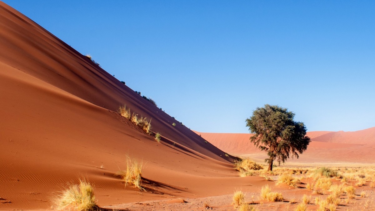 Découverte de la Namibie 12J/9N - Limité à 22 pers 3*