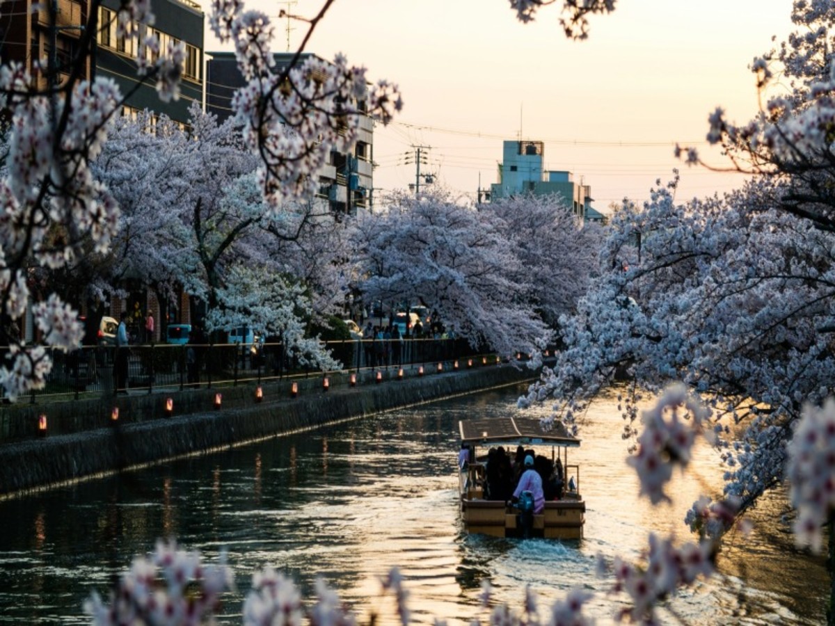 Hôtel Japon à Tokyo, japon sous un autre angle 21j 18n