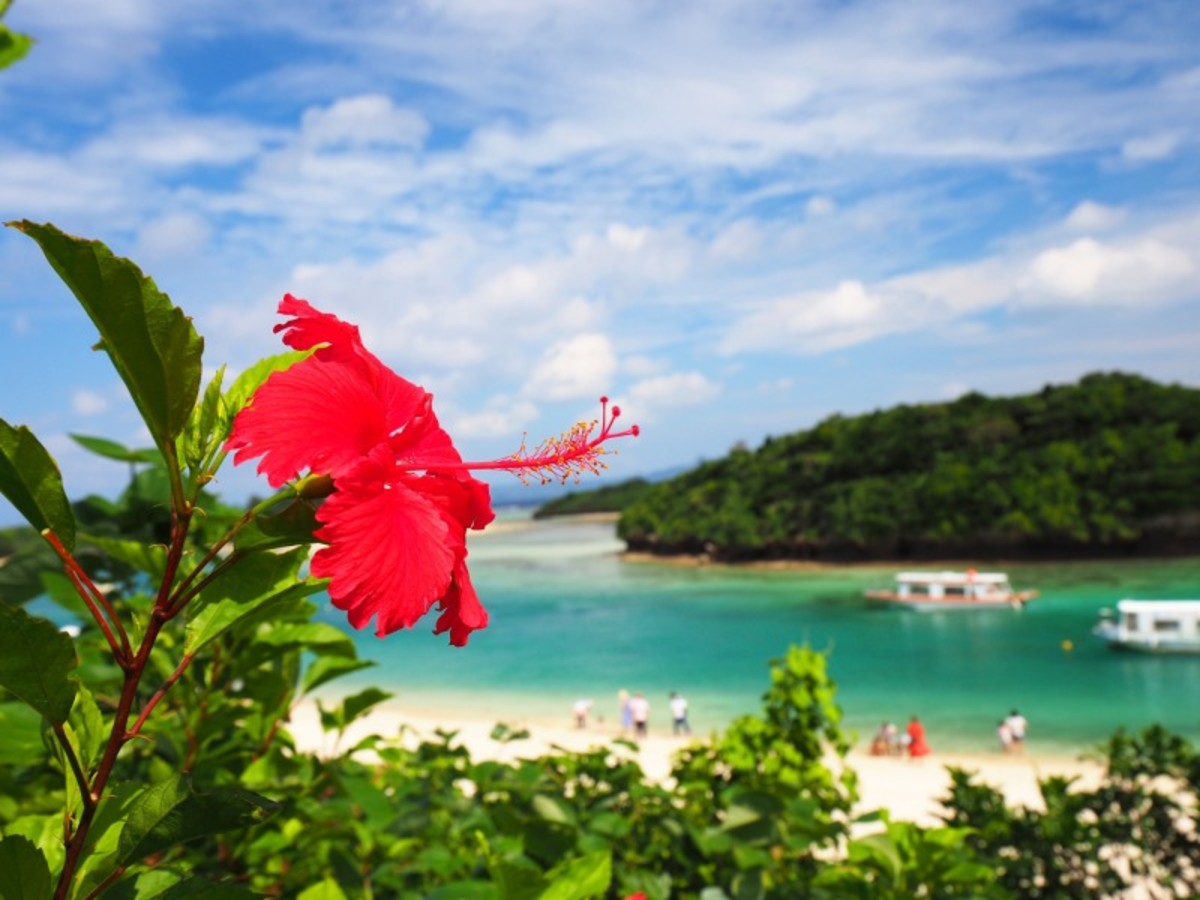 Japon - Circuit privé Paradis Japonais : Tokyo, Kyoto, Osaka et les plages d'Okinawa 3*