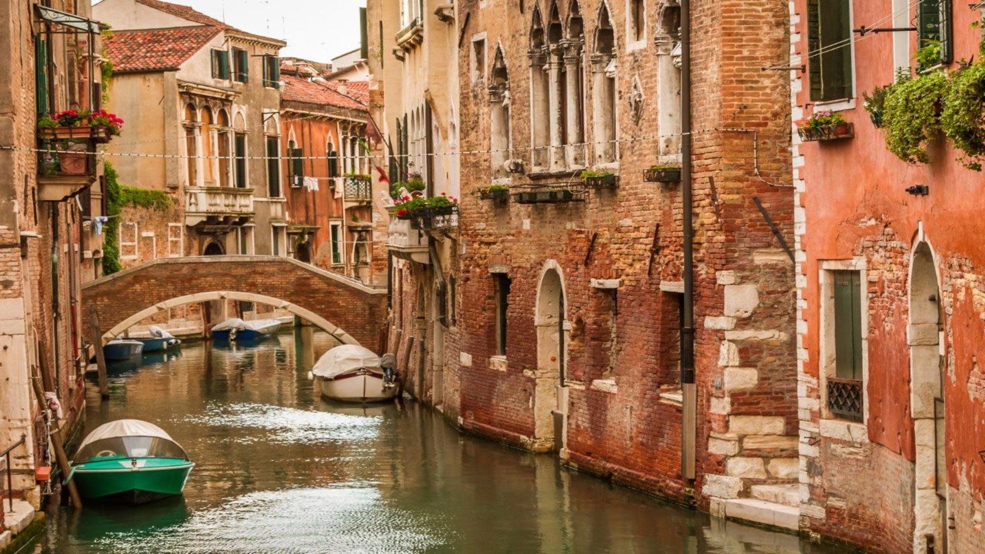 tourhub | Today Voyages | Discovering Venice 