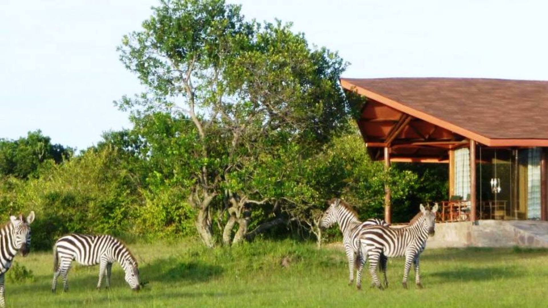 tourhub | Today Voyages | Private Masai Mara Safari To Diani Beach 