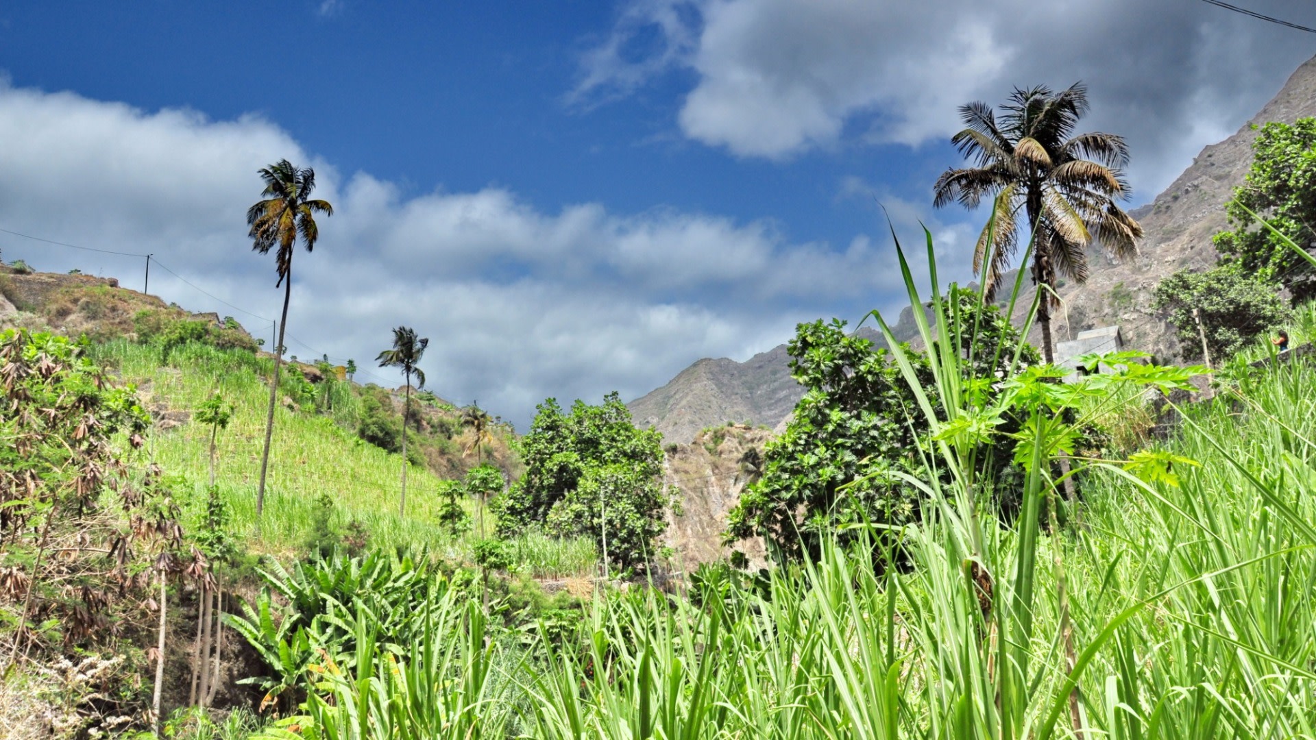 tourhub | Today Voyages | Mix Discovery/Hiking S. Vicente/Santo Antão 