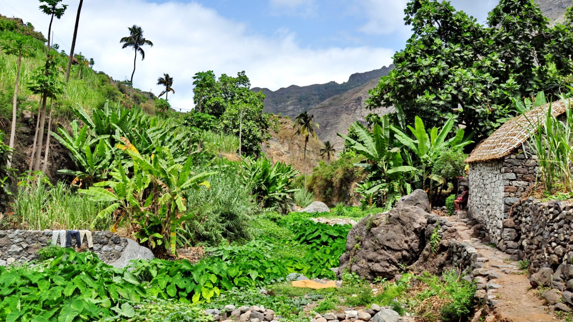 tourhub | Today Voyages | Discovery Circuit S. Vicente / Santo Antão 