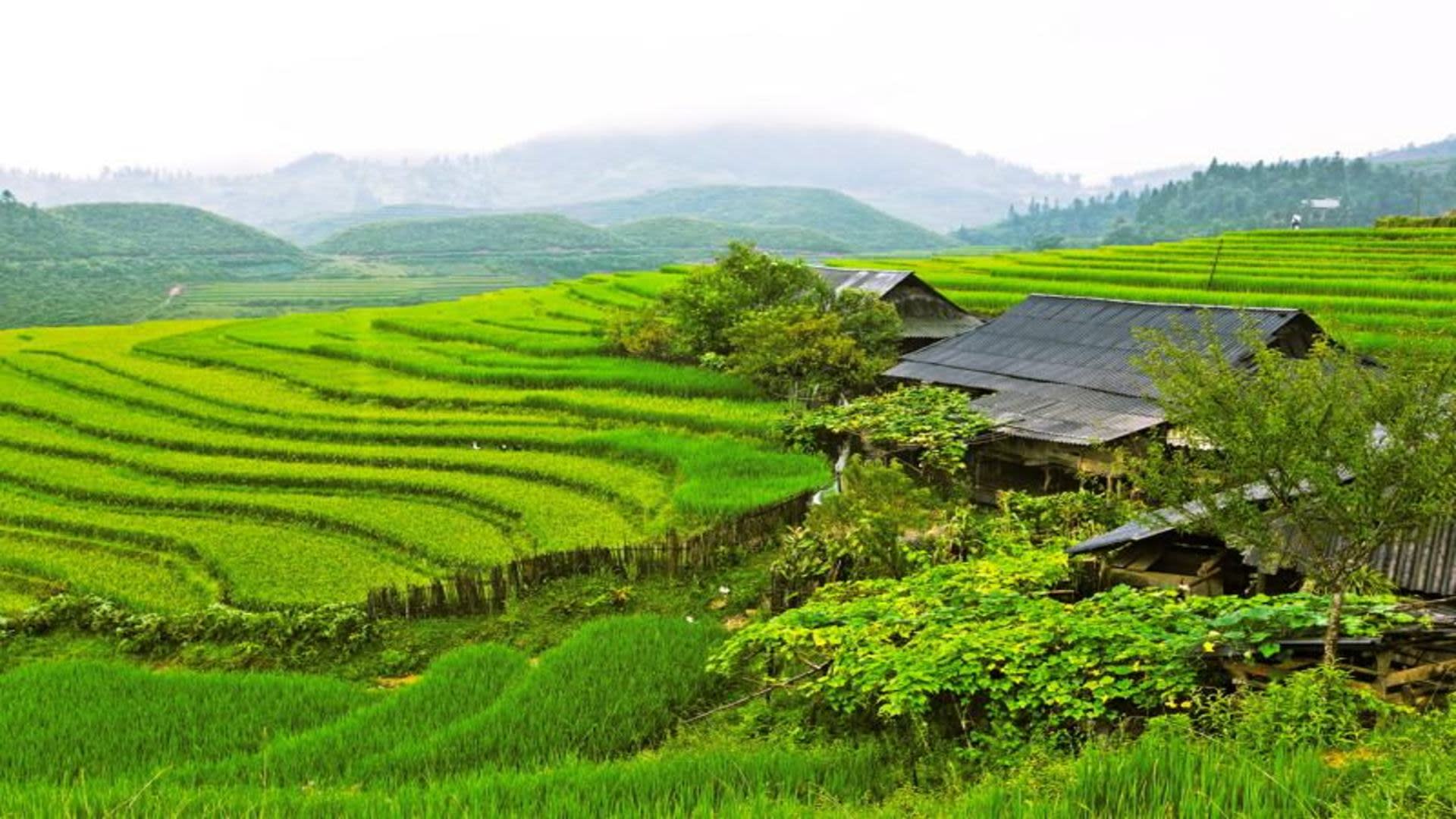 tourhub | Today Voyages | Around the Enchanting Scenery of Sapa 