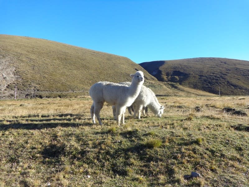 tourhub | Today Voyages | Xperience Ecuador 