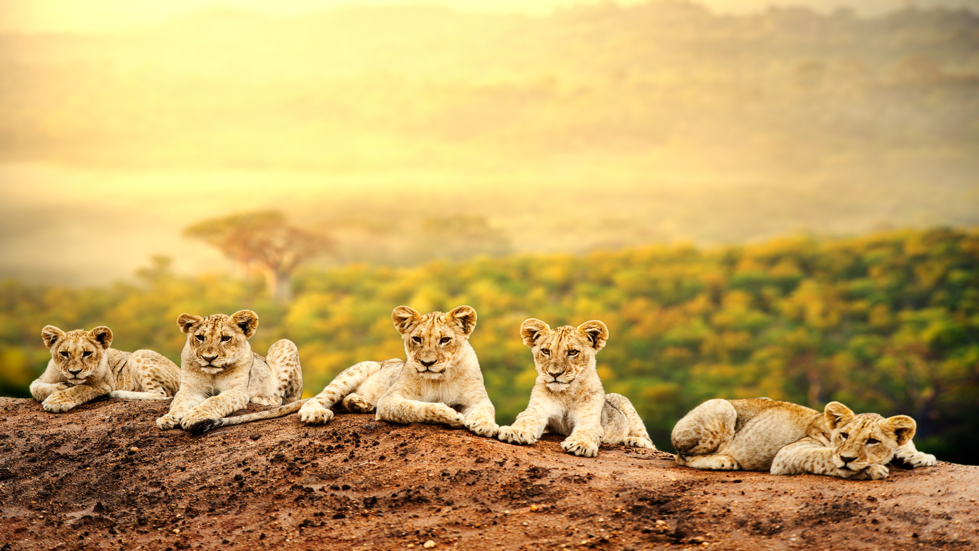 tourhub | Today Voyages | Kenya Highlights 