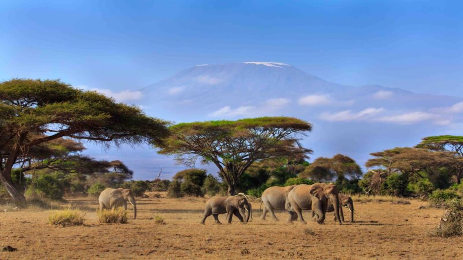 tourhub | Today Voyages | Best Parks of Kenya Deluxe Safari 