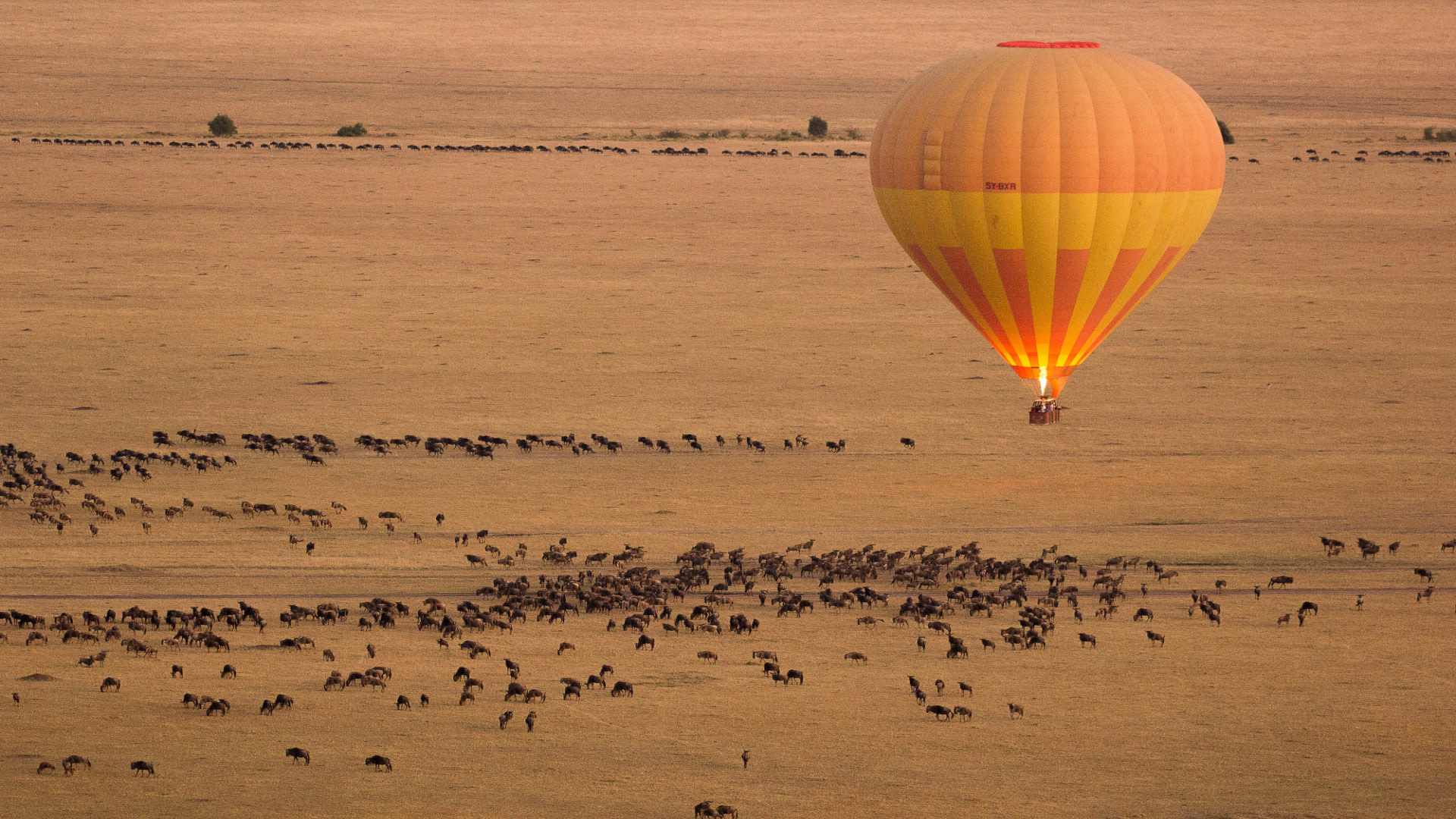 tourhub | Today Voyages | Luxury Safari Kenya 