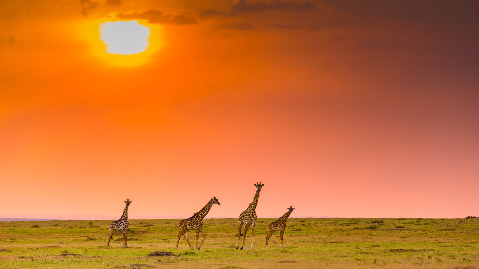 tourhub | Today Voyages | Kenya classic Safari 