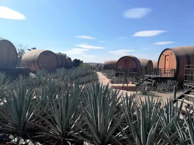 tourhub | Today Voyages | Tour Tequila & Mariachis 