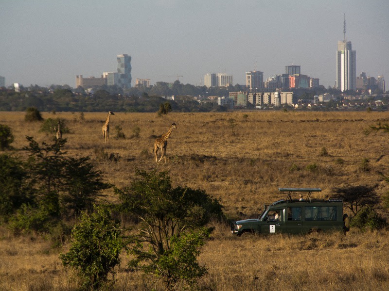 tourhub | Today Voyages | Wonders of Kenya Safari & Lamu Island 