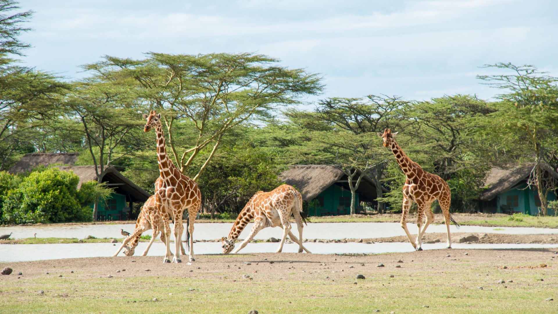 tourhub | Today Voyages | Les Secrets du Kenya en Safari et Extension a Diani Beach 