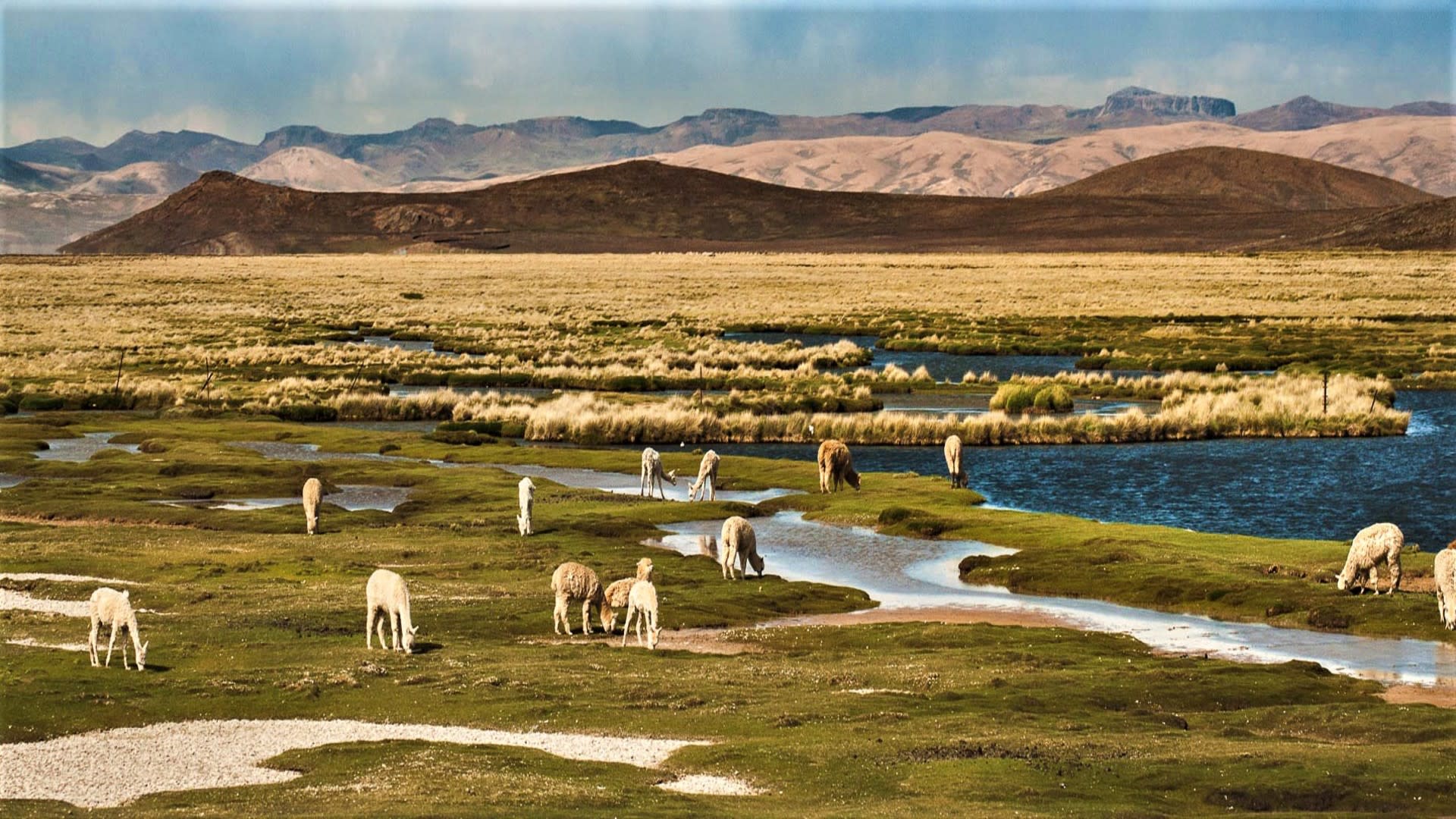 tourhub | Today Voyages | The Best of Peru 