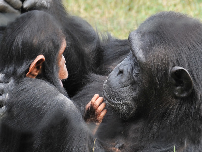 tourhub | Today Voyages | Les Secrets du Kenya en Safari et Extension a Diani Beach 