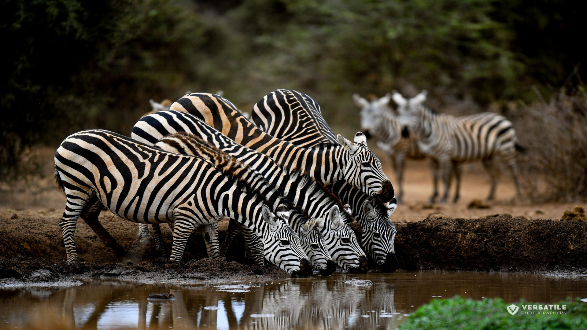 tourhub | Today Voyages | PRIVATE TOUR - Majestic Mara / Beach - Mid Range Option (*) 