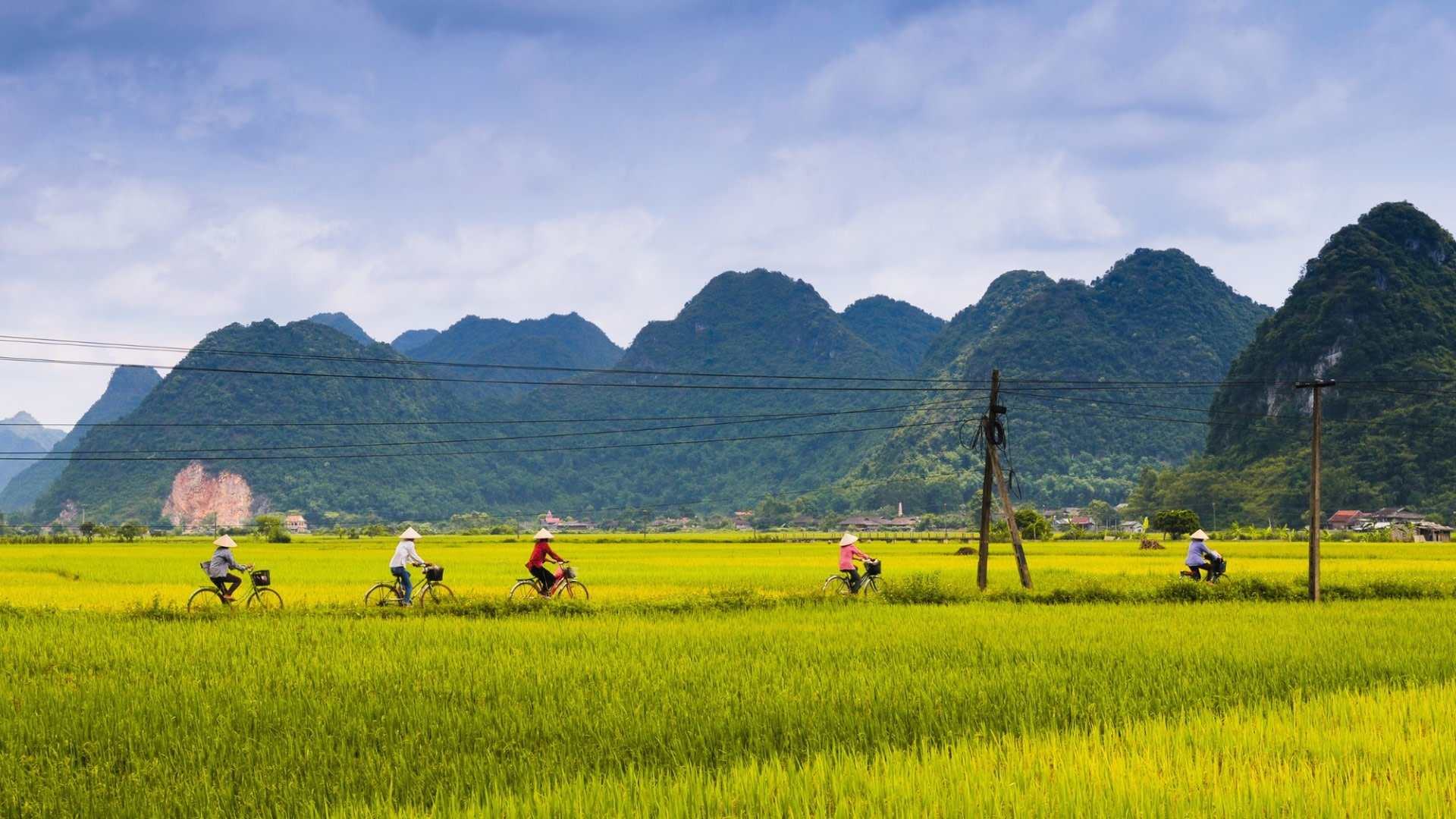 tourhub | Today Voyages | Cycling along Vietnam’s red river delta 