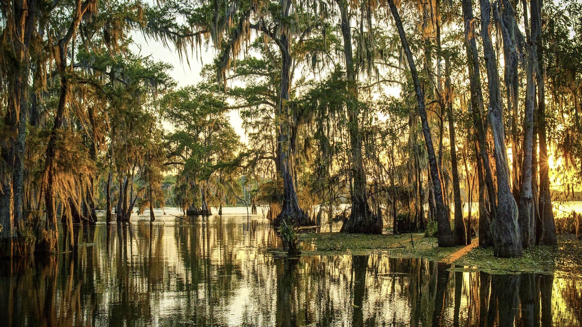 tourhub | Today Voyages | Louisiana 