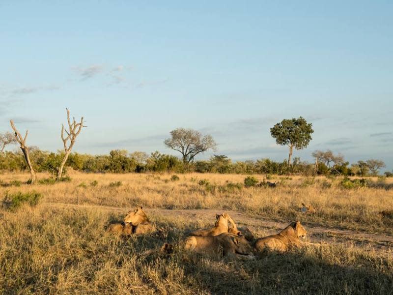 tourhub | Today Voyages | Highlights of Masai Mara & All Inclusive Beach Stay 