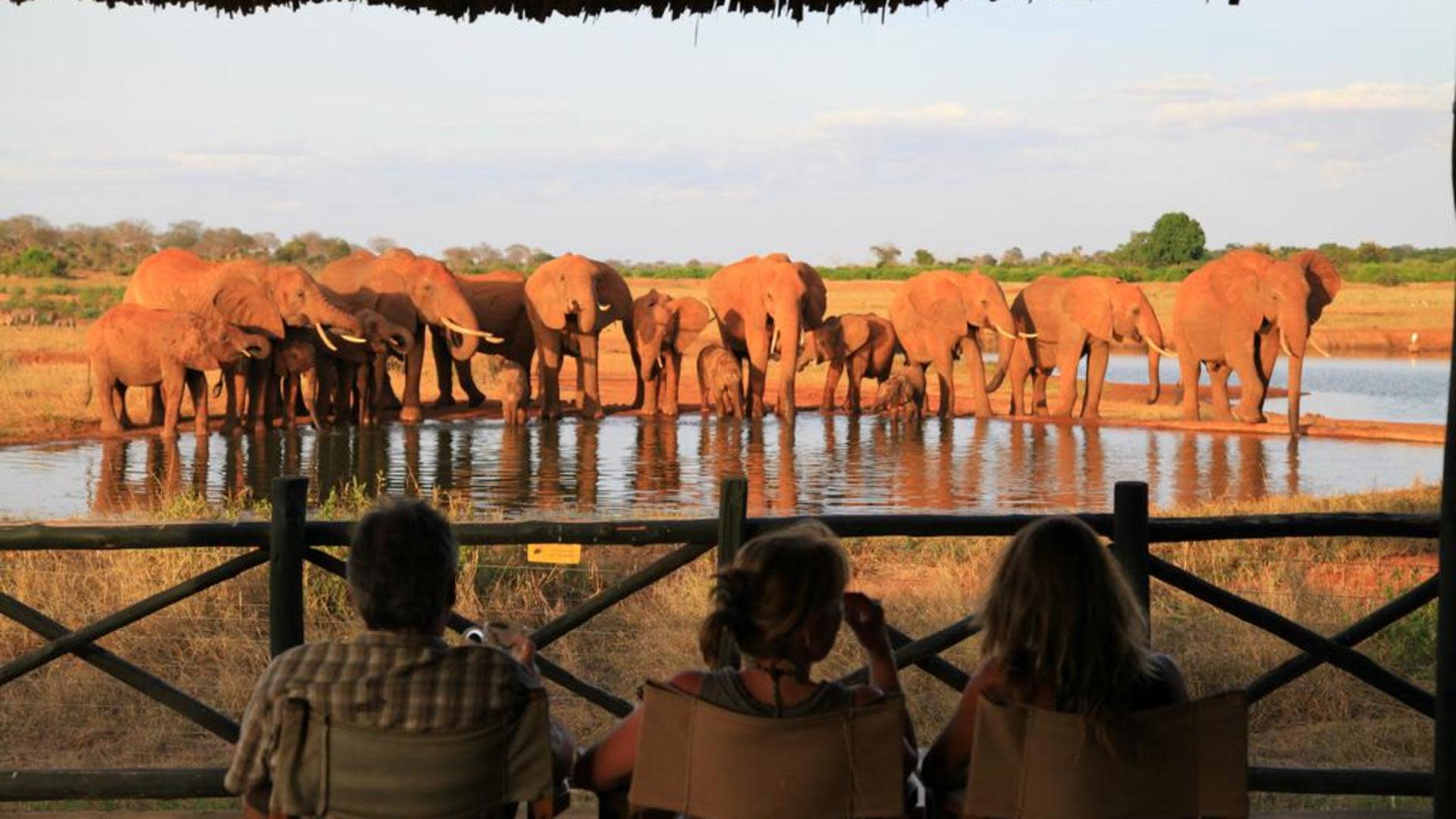 tourhub | Today Voyages | Red Elephants Safari & Diani Beach Stay 