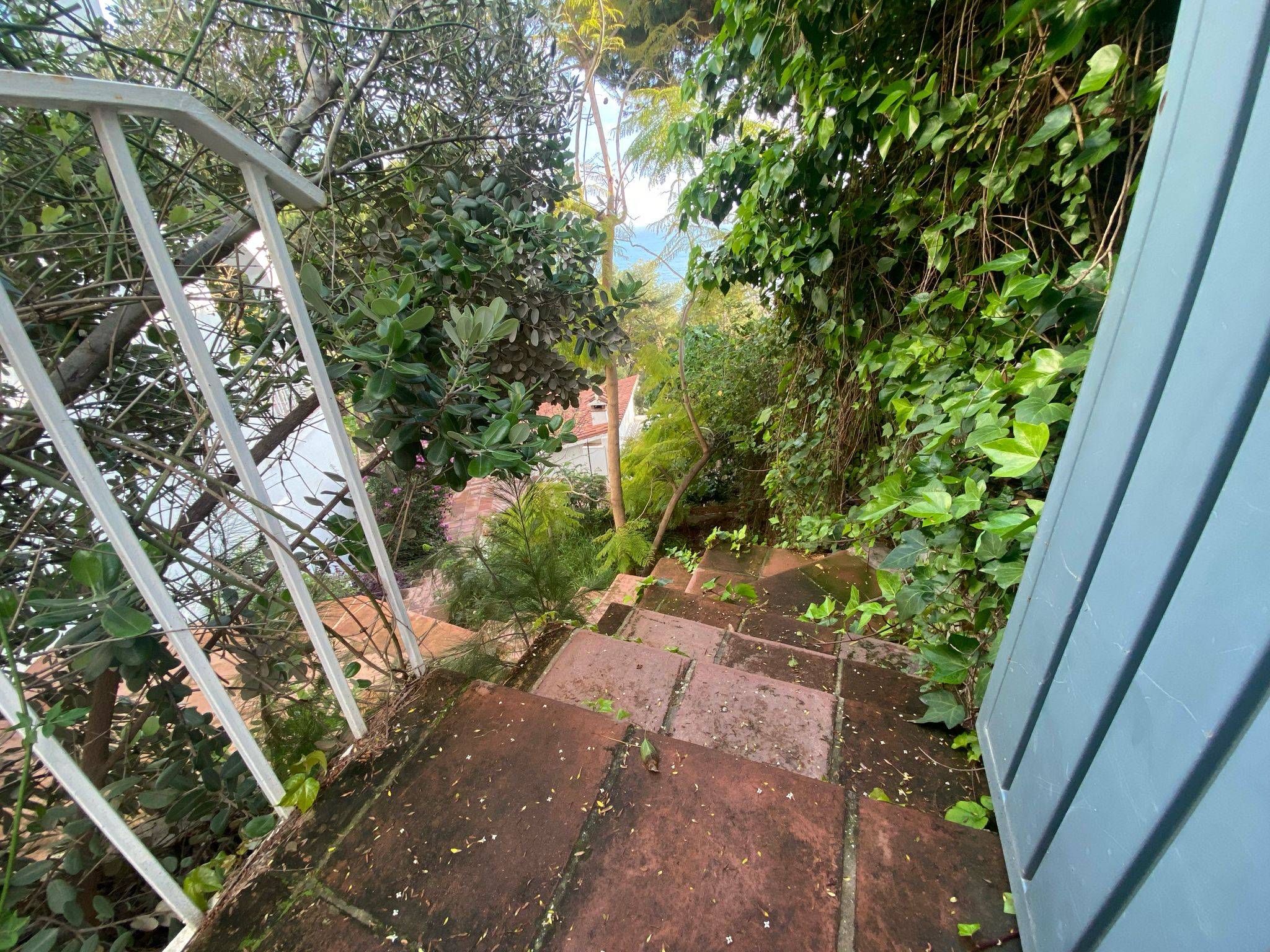 Escaleras de acceso a la casita de la piscina