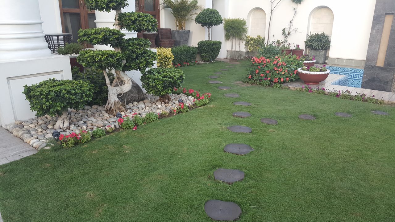 Tech Society Lahore — photo 2